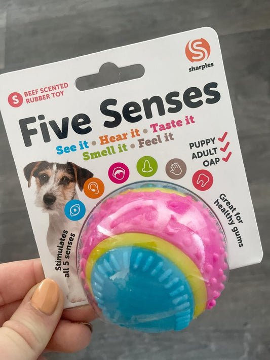 Five Senses Dog Enrichment Ball