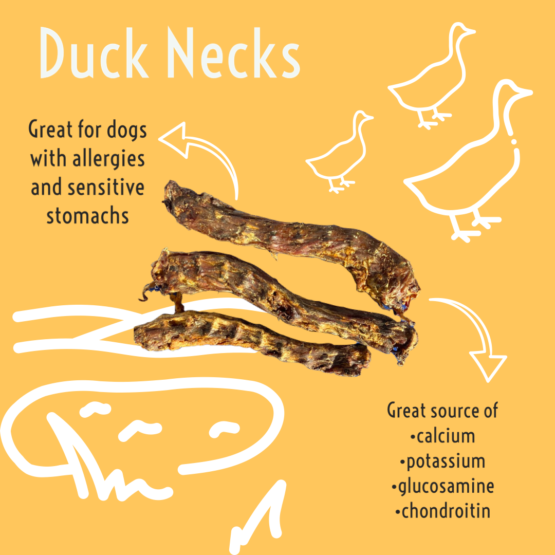 Duck Necks