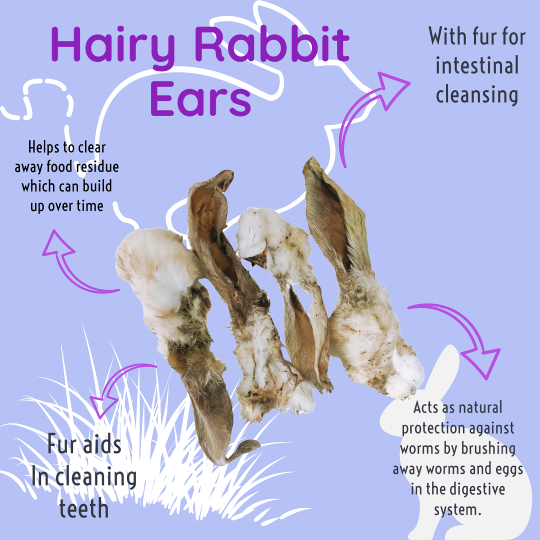 Rabbit Ears (With Fur)